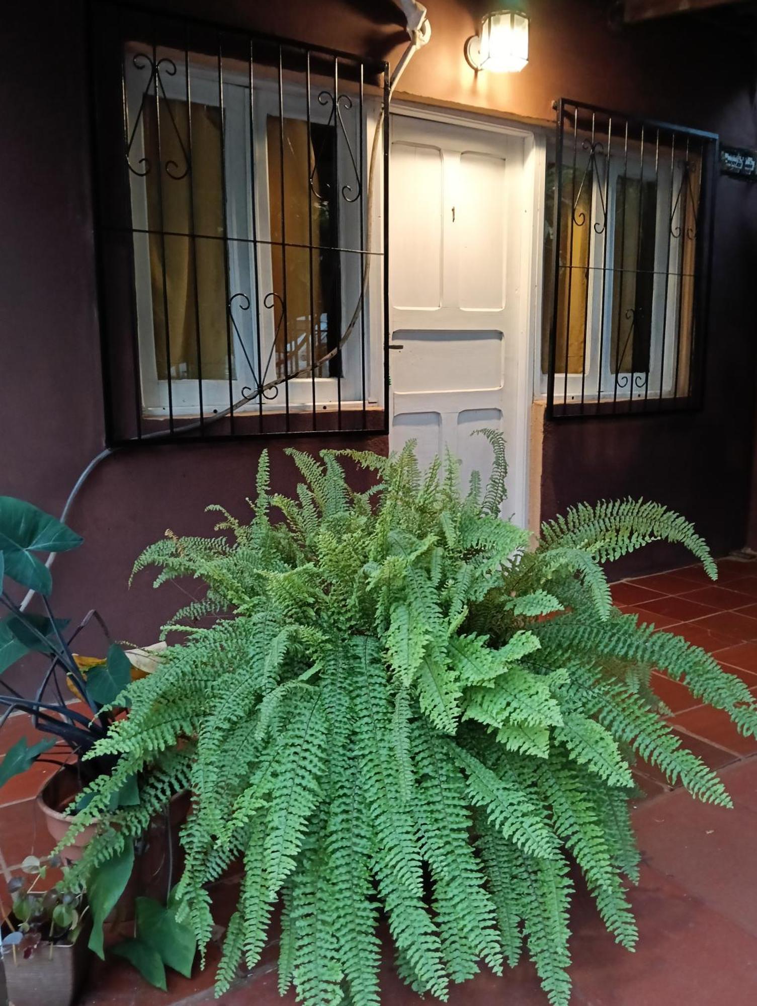 Residencial Los Pinos Puerto Iguazu Bagian luar foto